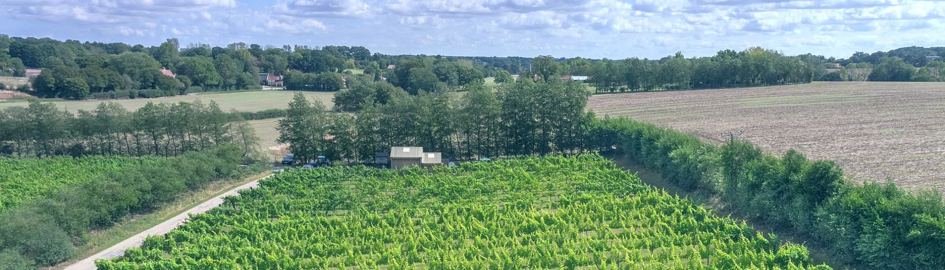 Valley Farm Vineyard Wissett Suffolk 