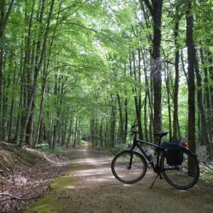 Cycling the greenway trackbed in Spain's Basque region