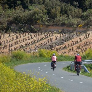 Cycling by vineyard slopes La Rioja wine country Green Spain